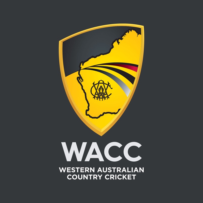 article banner