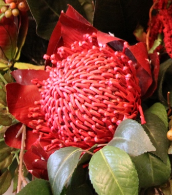 article banner