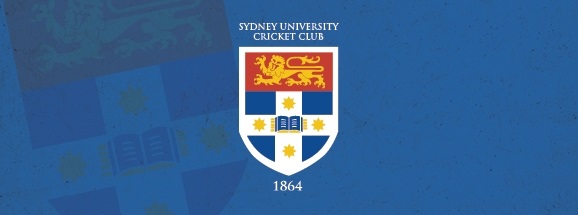 article banner