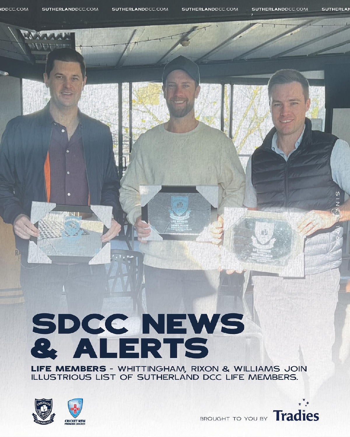 article banner