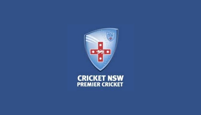 article banner