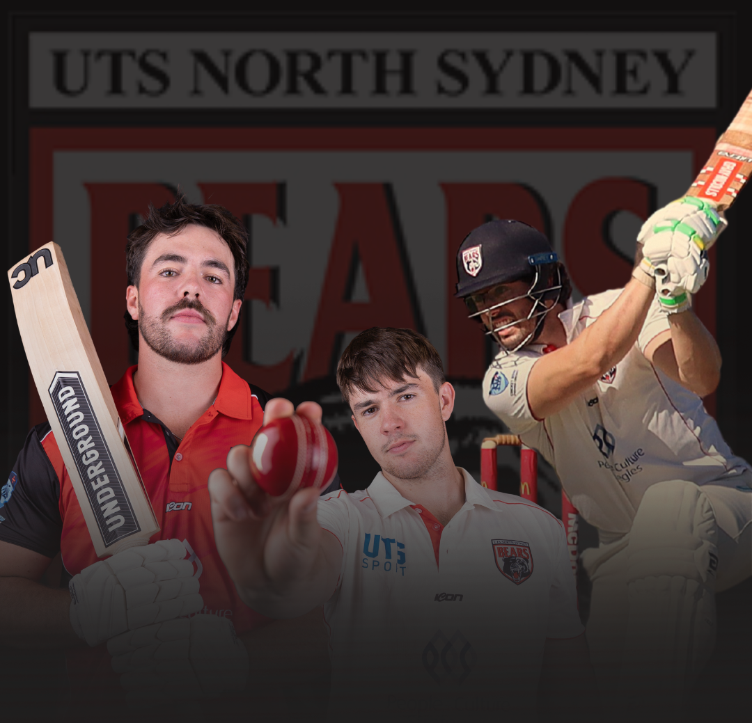 article banner