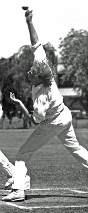 article banner